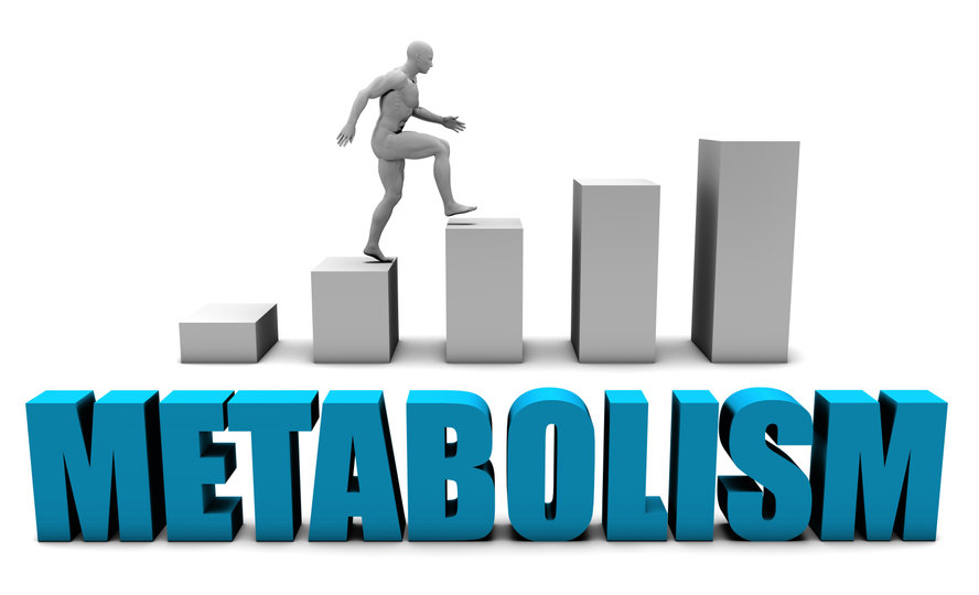 Step Up Your Metabolism