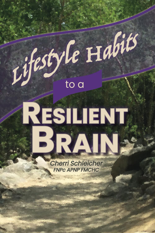 Lifestyle Habits to a Resilient Brain book cover